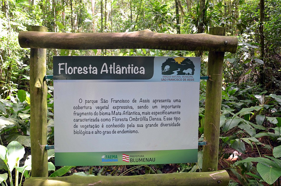Birdwatching: observação de aves no Parque São Francisco de Assis