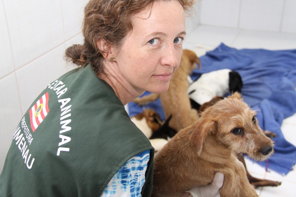 Bem Estar Animal castra cães e gatos de rua na Vila Itoupava
