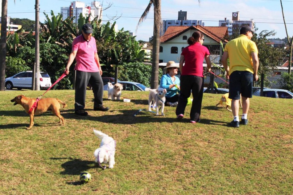 Primeiro Cão no Parque de 2017 será nesse fim de semana