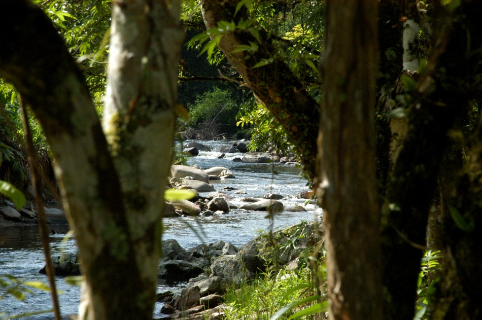 Inscrições para Formação em Educação Ambiental encerram nesta quarta