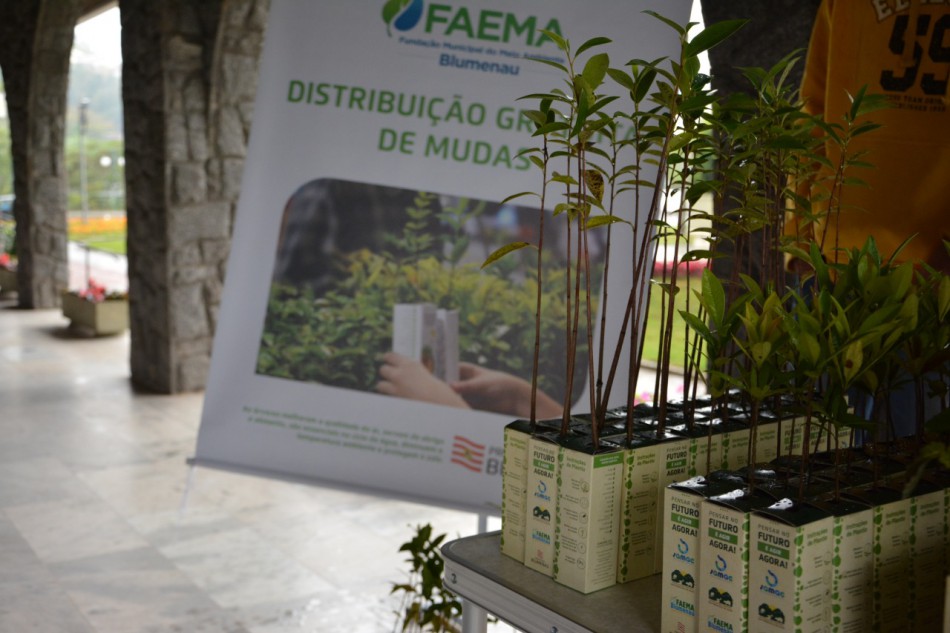 Faema fará distribuição de mudas nativas nesta quarta-feira